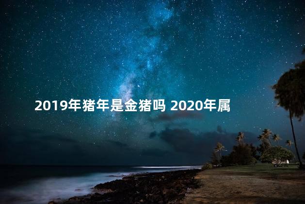 2019年猪年是金猪吗 2020年属虎的全年每月